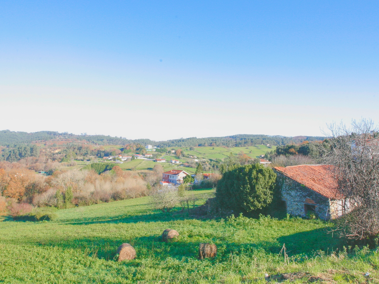 Entorno Leioa Martiartu Asador Elordui Berria